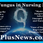 QPlusNews 2019 Fatal Fungus