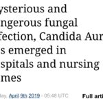 2019 Fatal Fungus